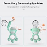 9562-BITTING BAG  BABY FRUIT PACIFIER 
