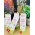 TROPIKA BABY HAIR & BODY OIL SWEET 30ML